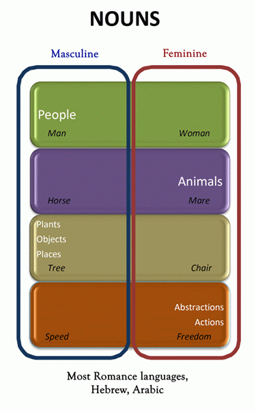 Différence entre normative et descriptif