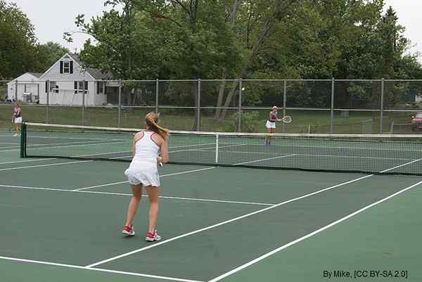 Perbezaan antara tenis dan badminton