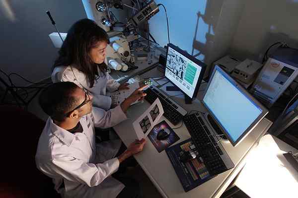 Diferencia entre la teoría y la investigación