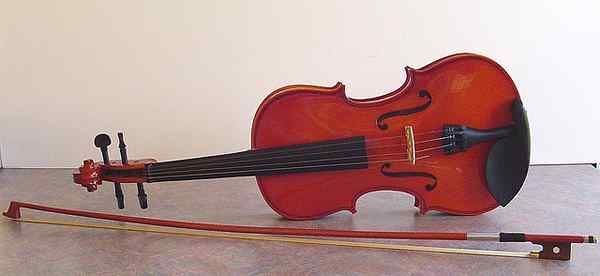 Perbezaan antara biola dan cello