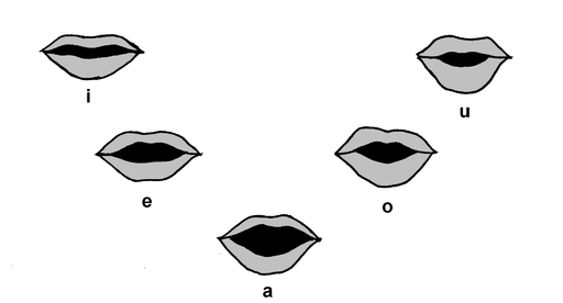 Diferencia entre vocales y consonantes