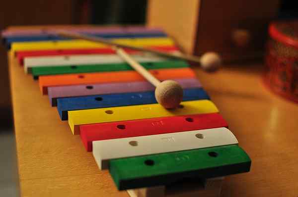 Perbezaan antara xylophone dan marimba