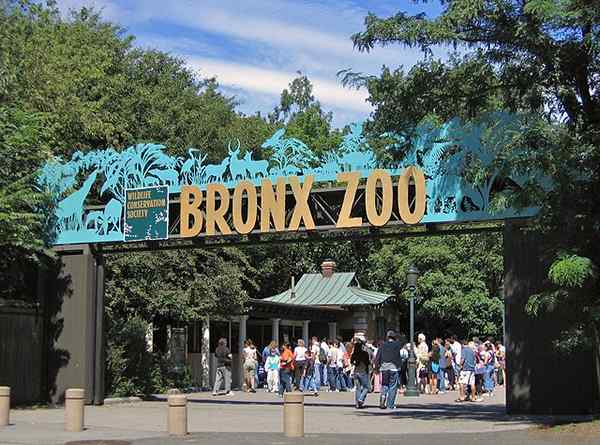 Perbezaan antara zoo dan tempat perlindungan